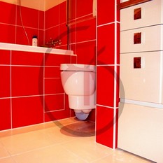 Качество ремонта по ванной комнате обращаться по тел. +7(495) 765-77-78 или по сайту : ya-s-k.ru